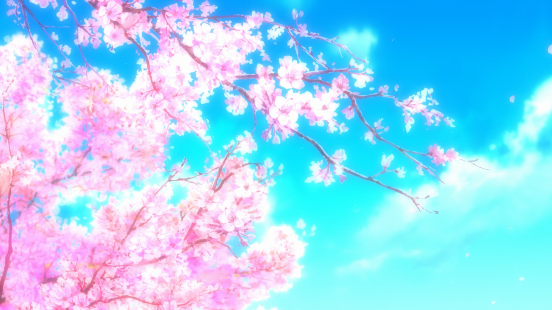 Sakura Tree Wallpaper Anime Cherry Blossom Tree Anime Wallpapers 