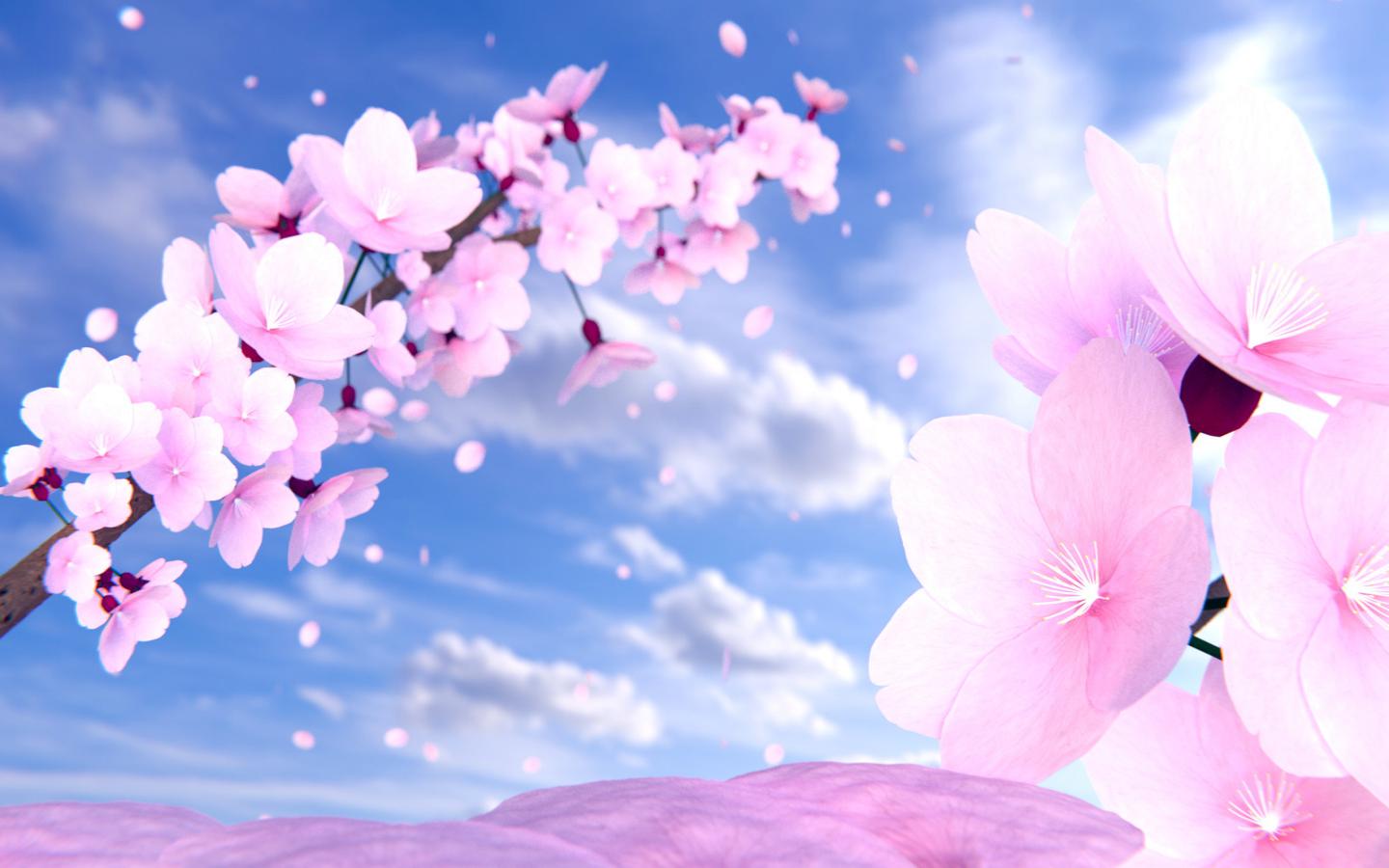 Anime Cherry Blossom Flower Wallpaper Blossom Anime