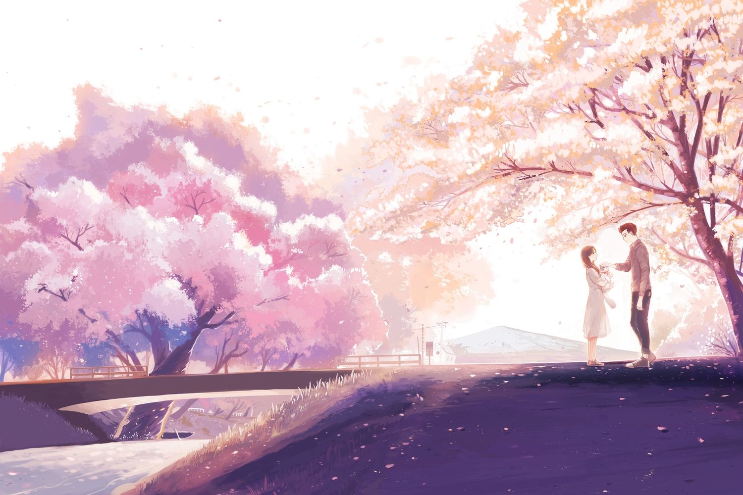 cherry blossoms flowers hanasei male original. konachan.com