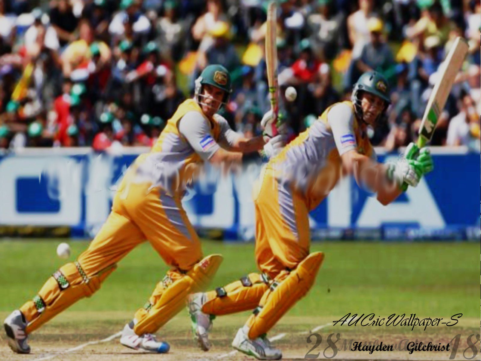 Australian Cricket Team Wallpaper: Matthew Hayden & Adam Gilchrist