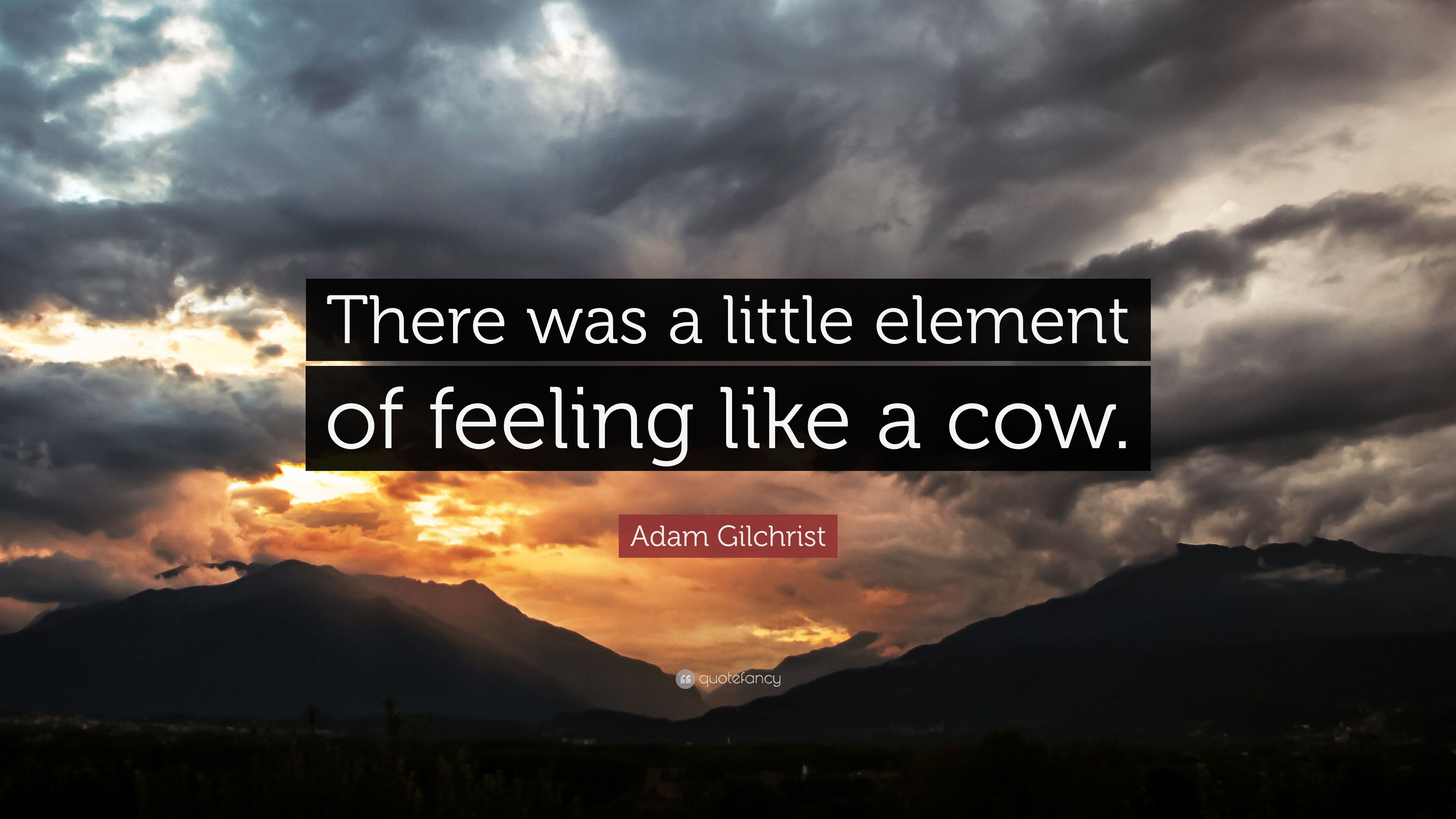 Adam Gilchrist Quote: “There was a little element of feeling like
