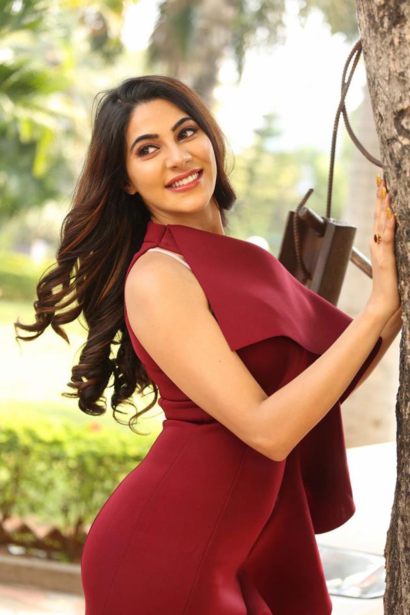 Actress Nikki Tamboli New Hot Photohoot Stills