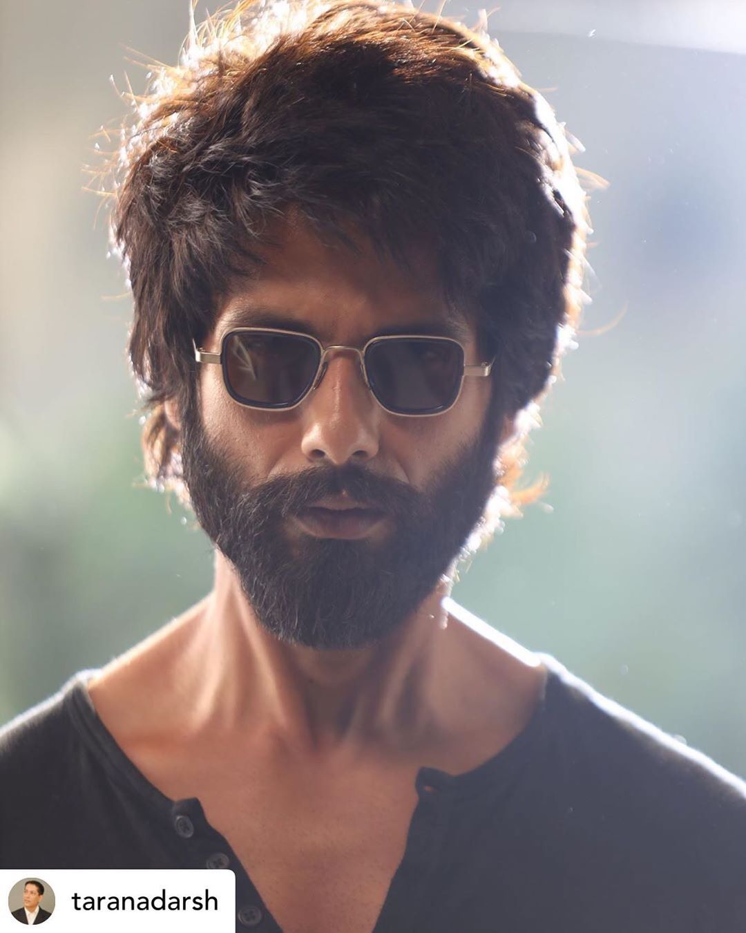 Posted • #KabirSingh is a Boxoffice