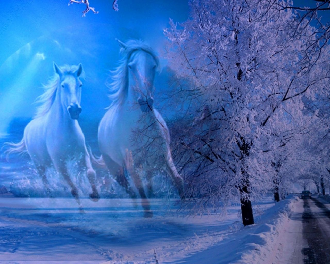 Free download Winter Nature Desktop Background Animals 1400x1050