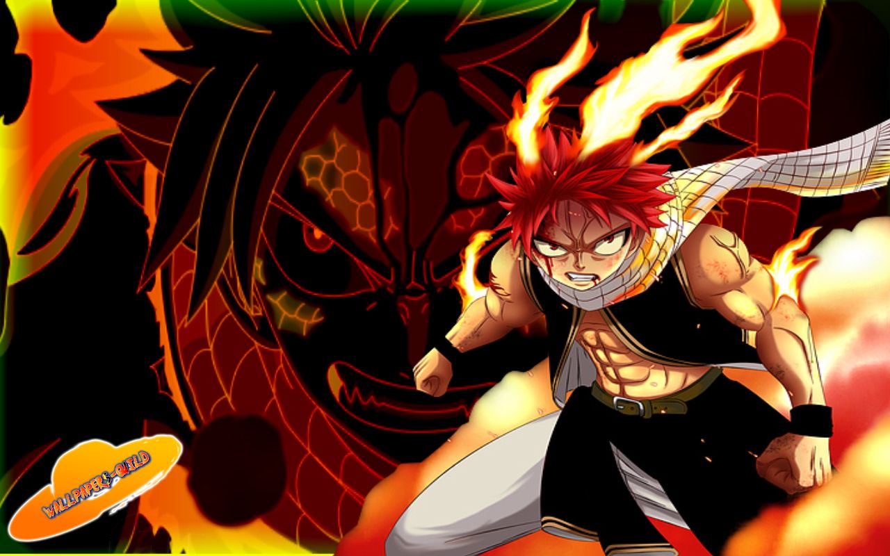 Free download Animage Fairy Tail wallpaper 2858 [1280x800]