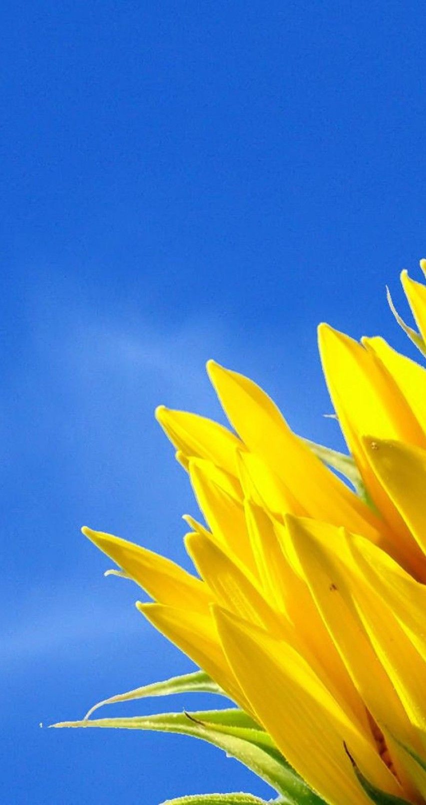 Springs Session Wallpapers - Wallpaper Cave