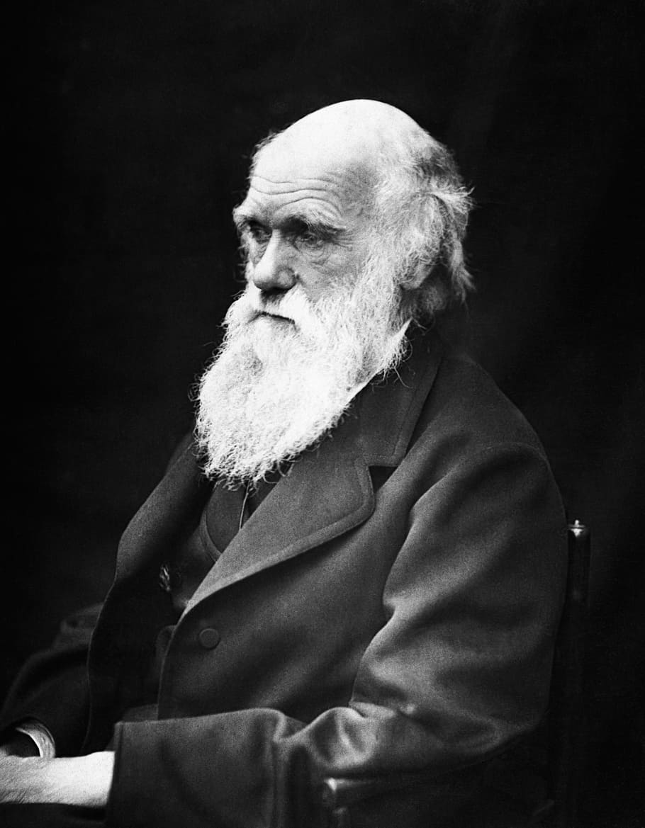 HD wallpaper: photo of Charles Darwin, charles robert darwin