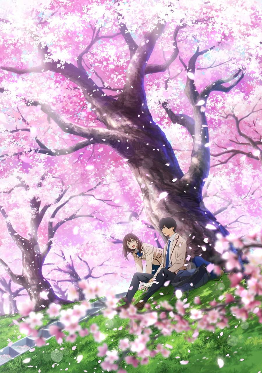 Kimi no Suizou wo Tabetai ( I wanna eat your pancreas) Wallpaper