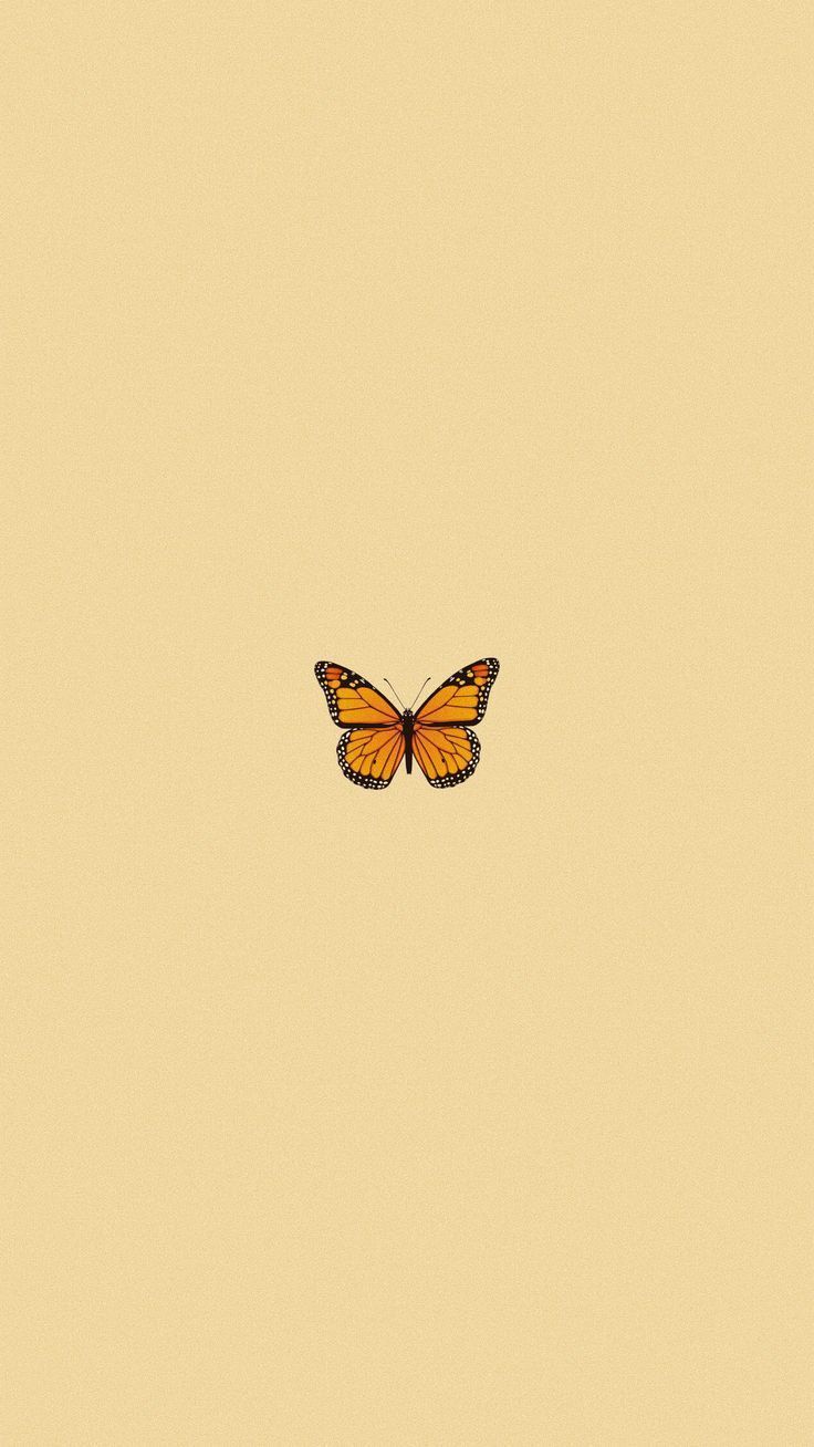 Aesthetic wallpaper. Butterfly