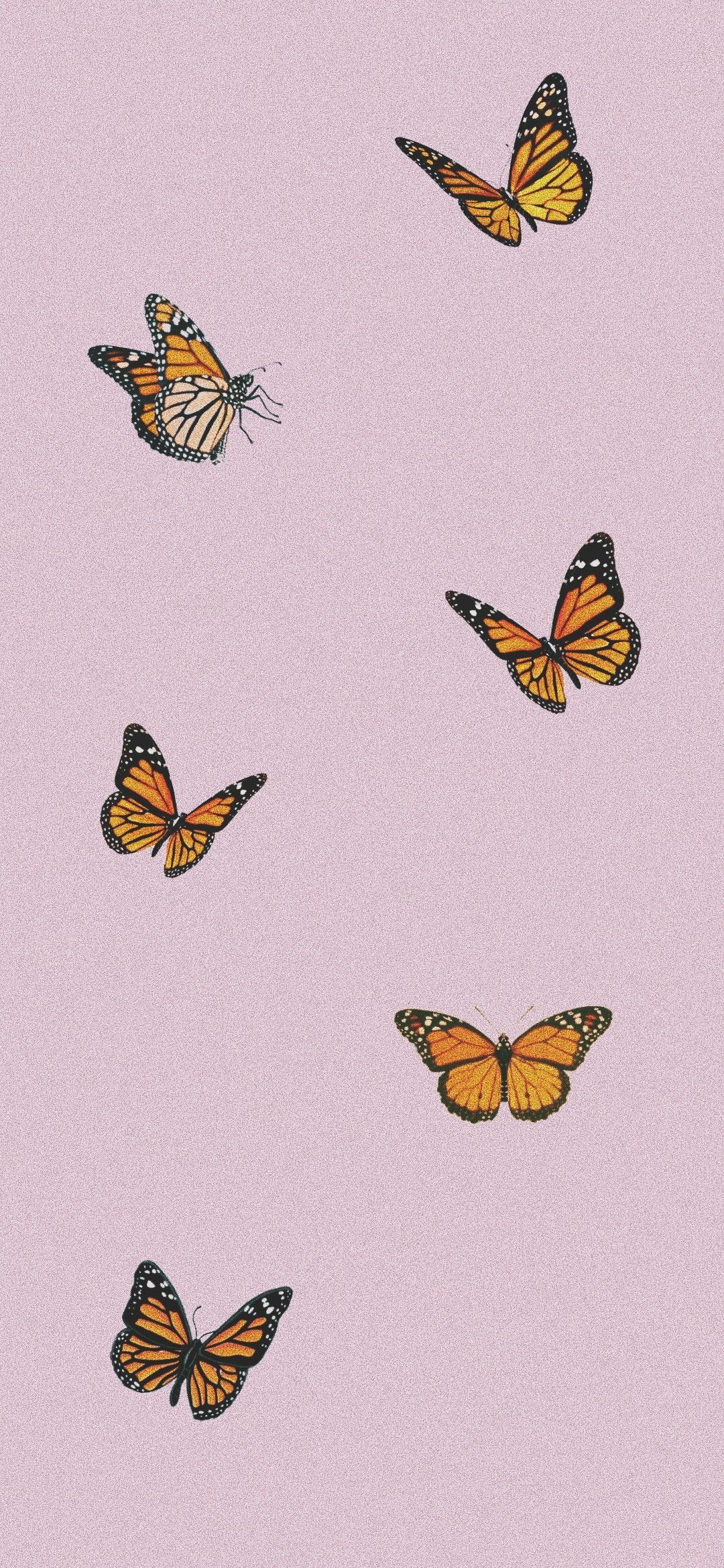 Butterfly Wallpaper Aesthetic Pinkwalpaperlist.com