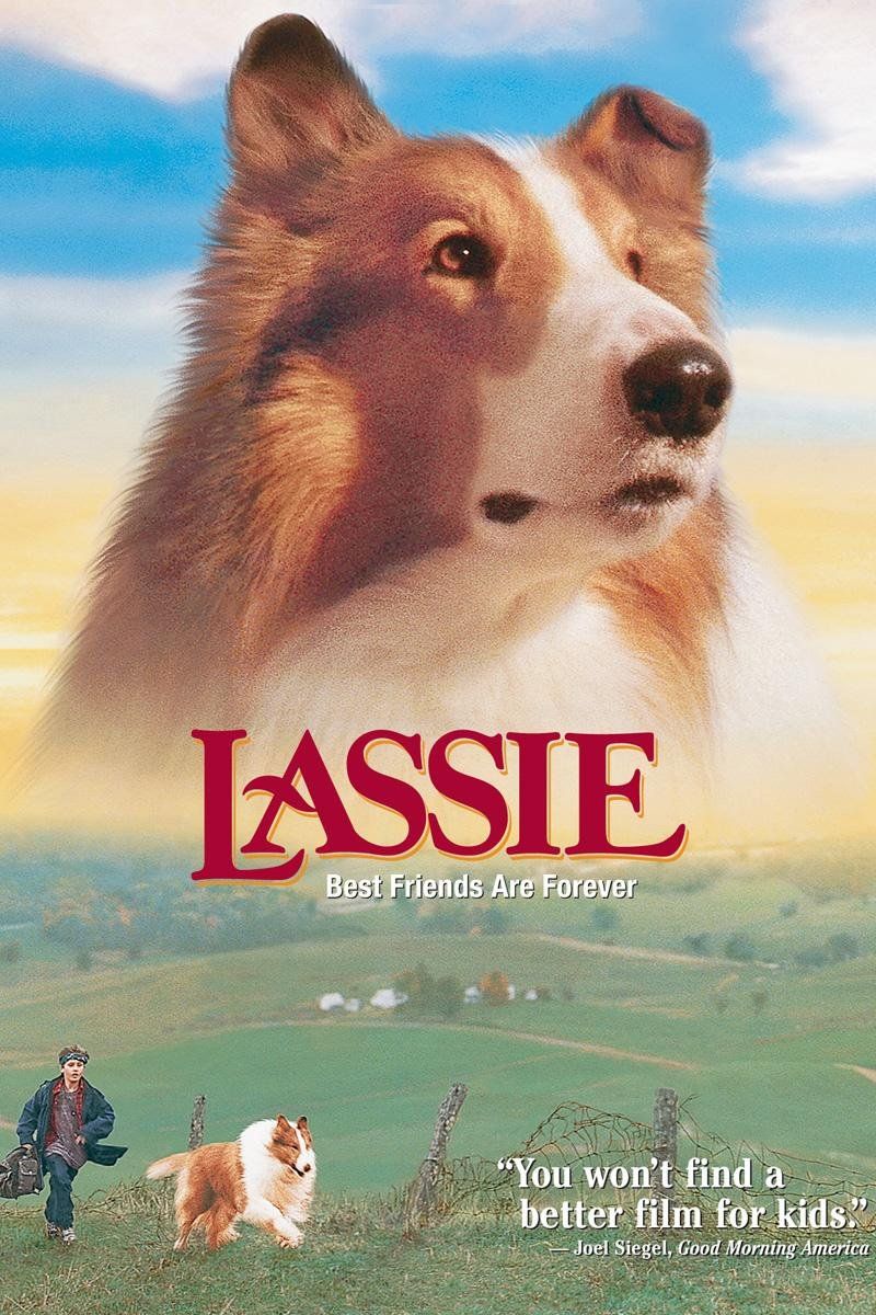 Lassie 1994 Wallpapers Wallpaper Cave