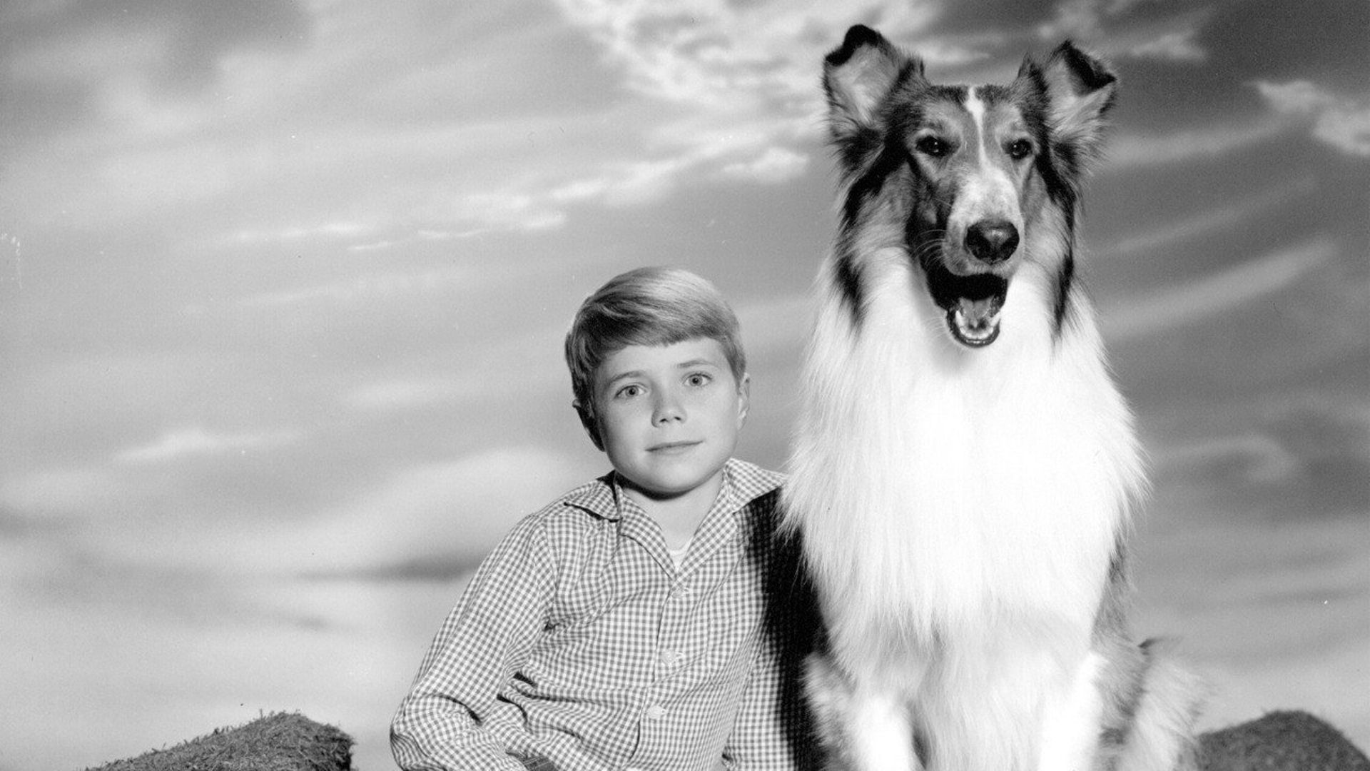 Lassie to Watch Every Episode Streaming Online