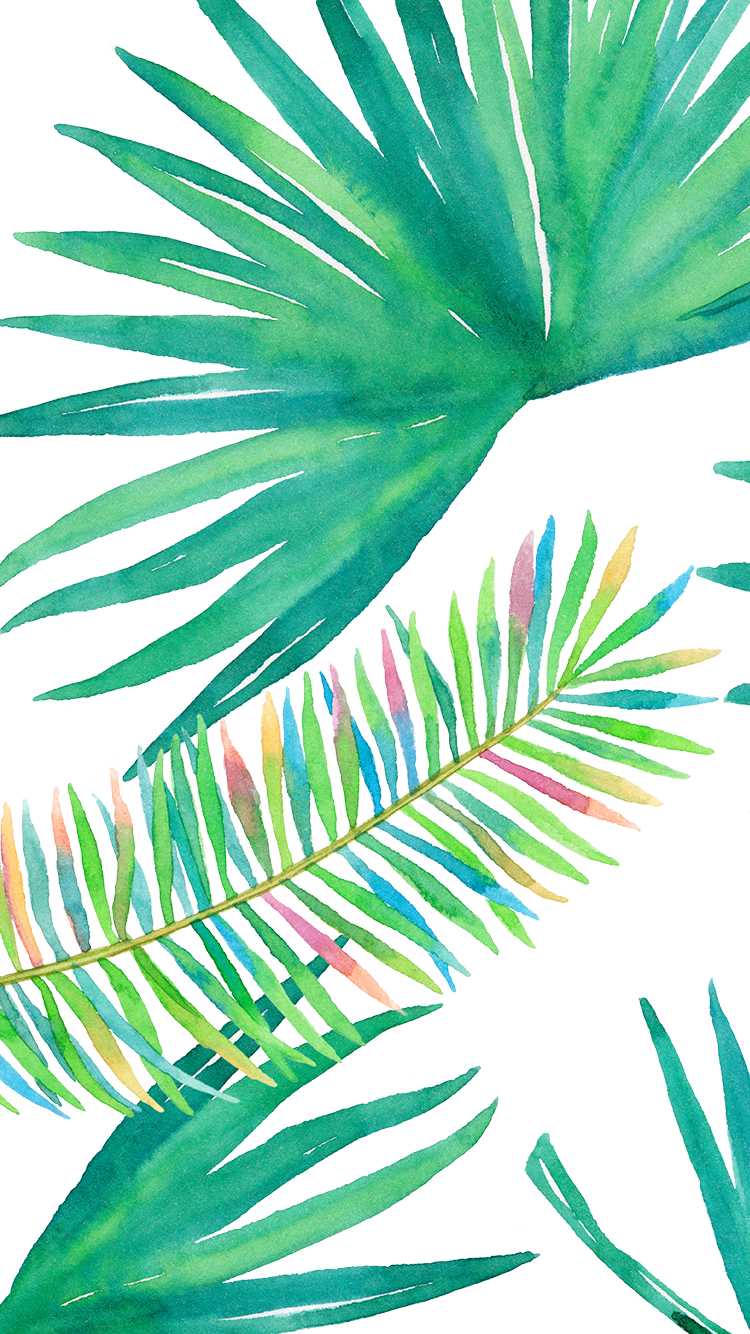 Tropical palm plant vibes iphone wallpaper or background