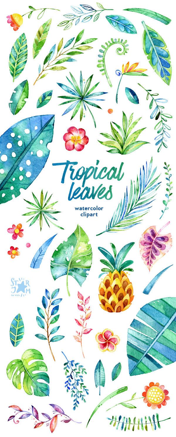 Tropical Leaves. 44 Floral Elements, watercolor clip art, jungle