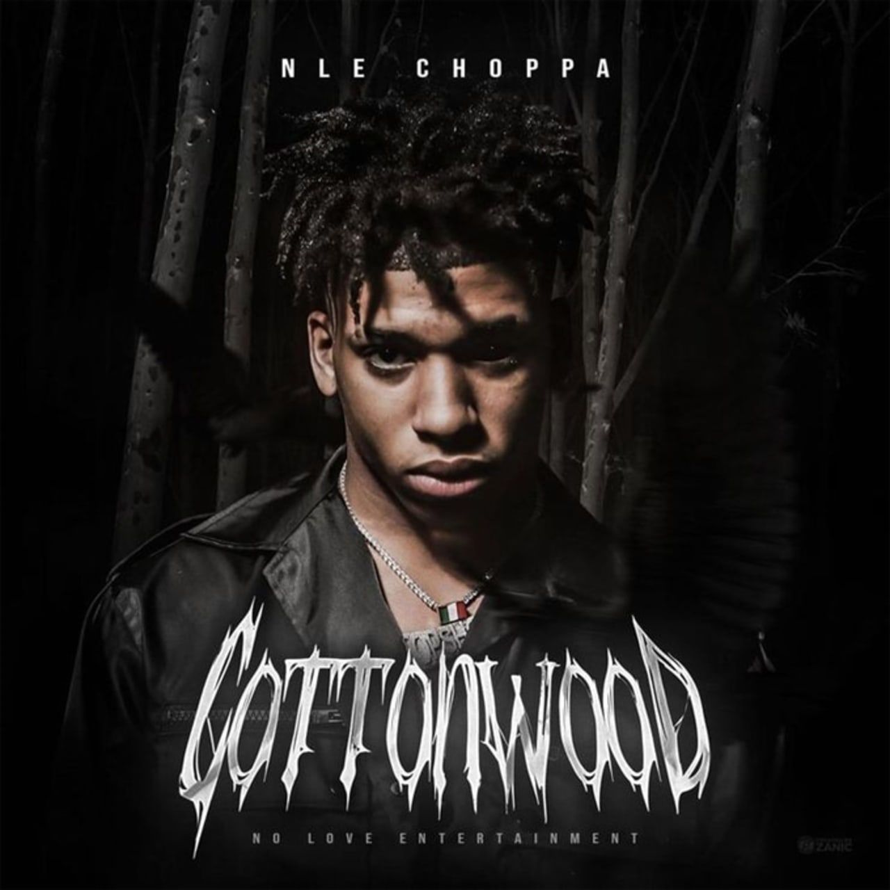 NLE Choppa Drops 'Cottonwood' Project