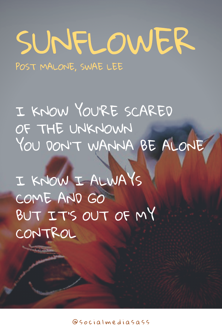 Post Malone Quote 8