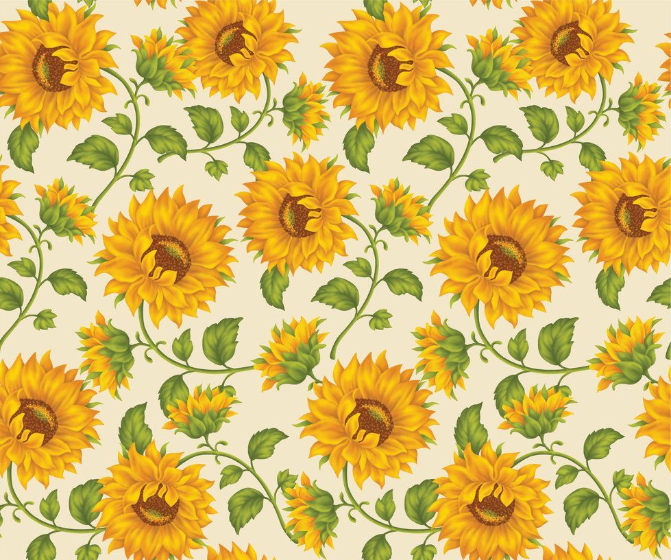 Sunflower Tumblr Widescreen 2 HD Wallpapers