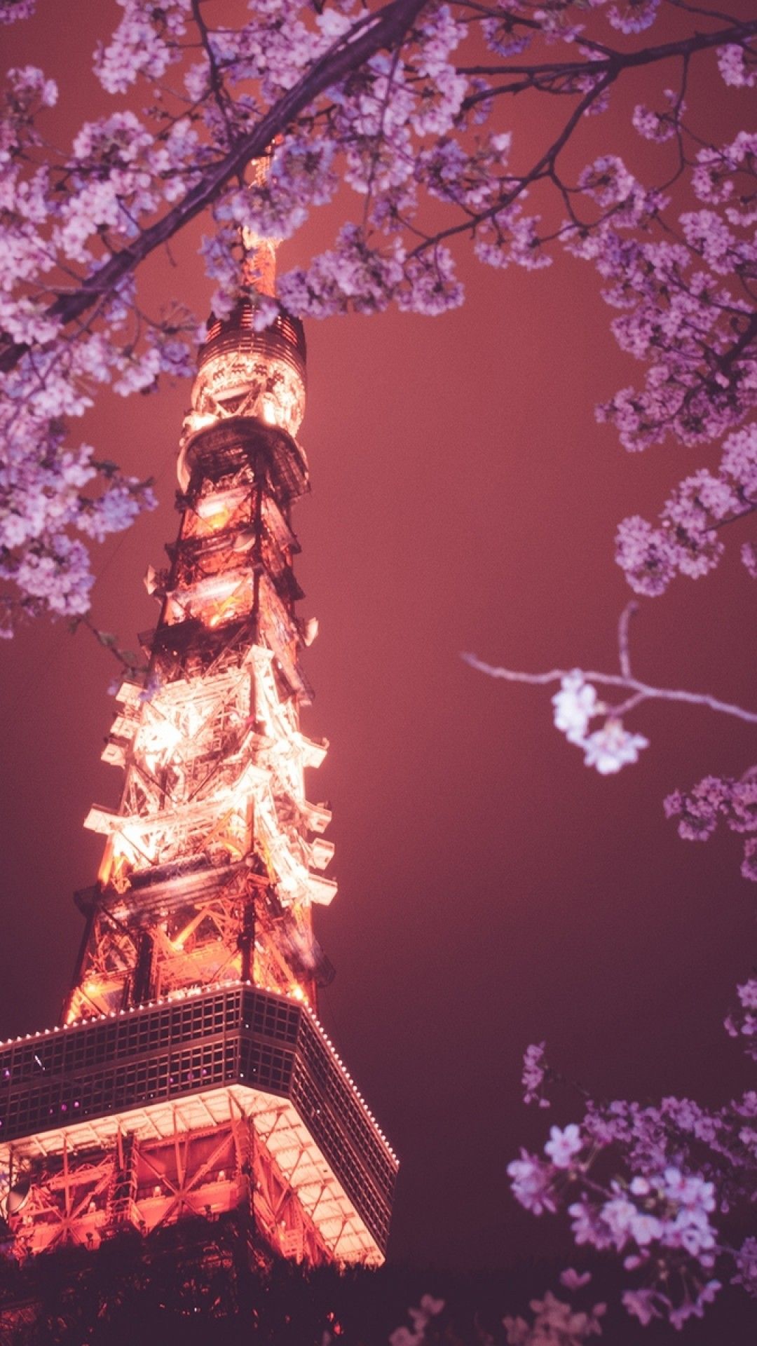 Download 1080x1920 Tokyo Tower, Sakura Blossom, Cherry, Lights