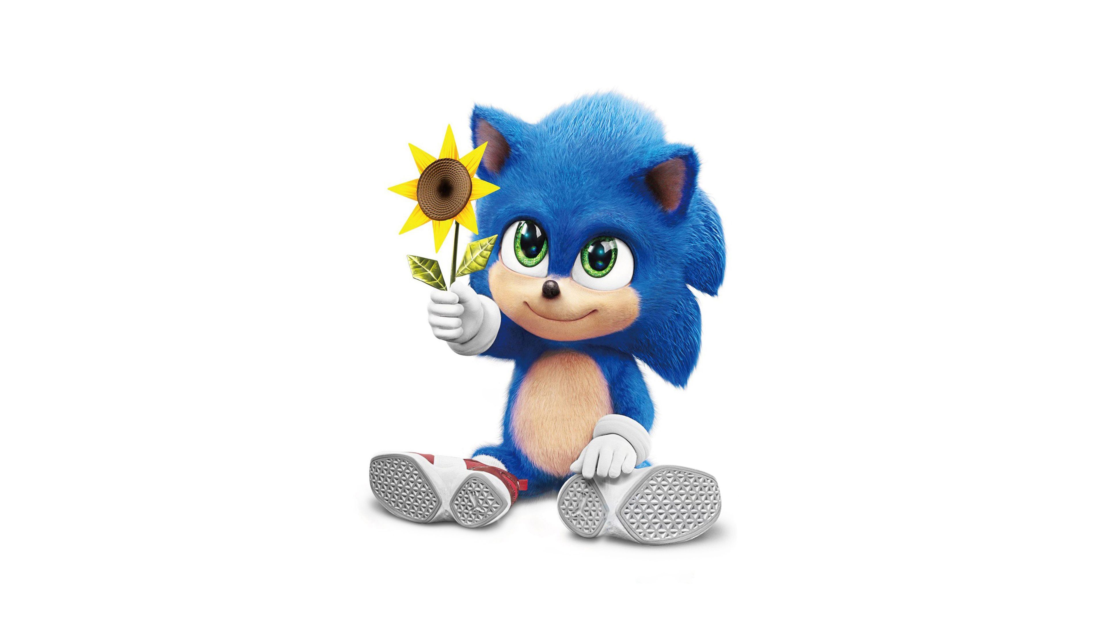 Sonic Movie Fanart 2020