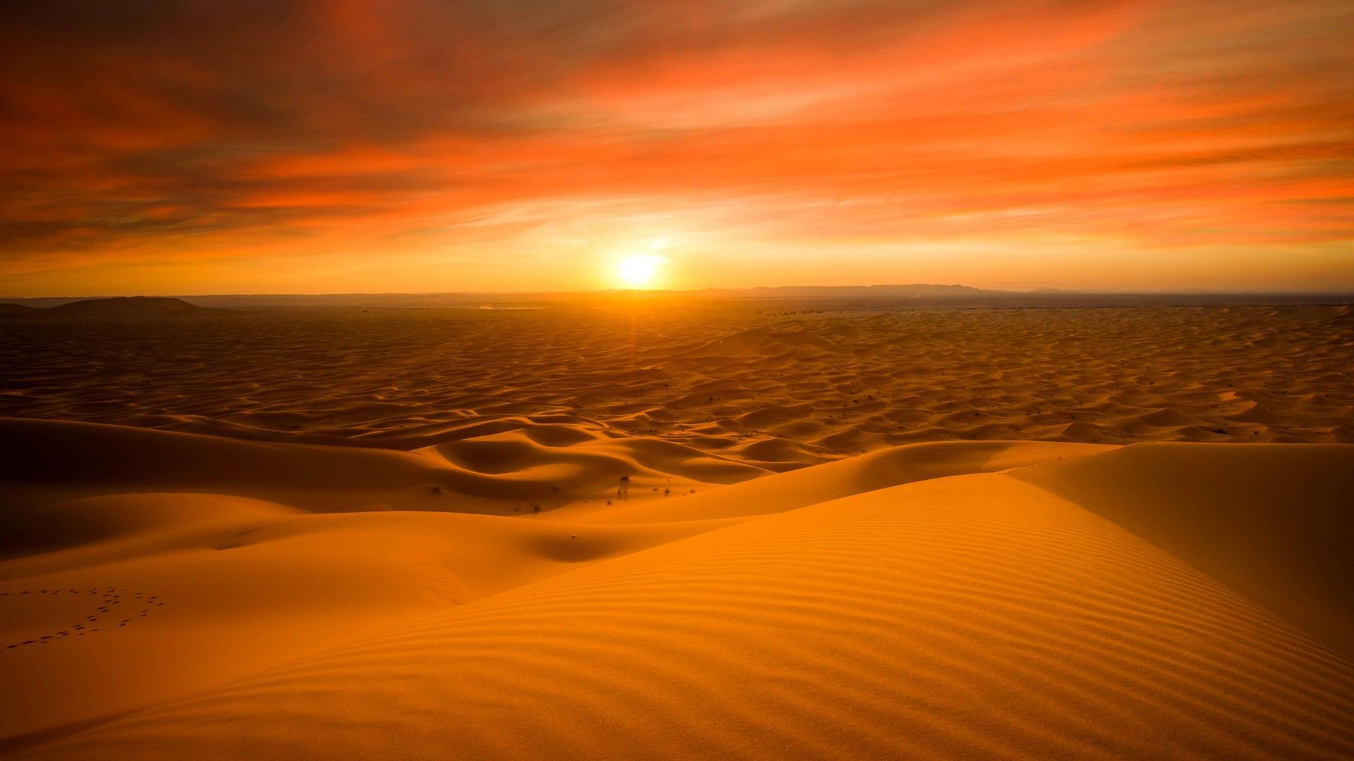Sahara desert, Sand dunes, Sunset, 5K. Desert background, Sunset
