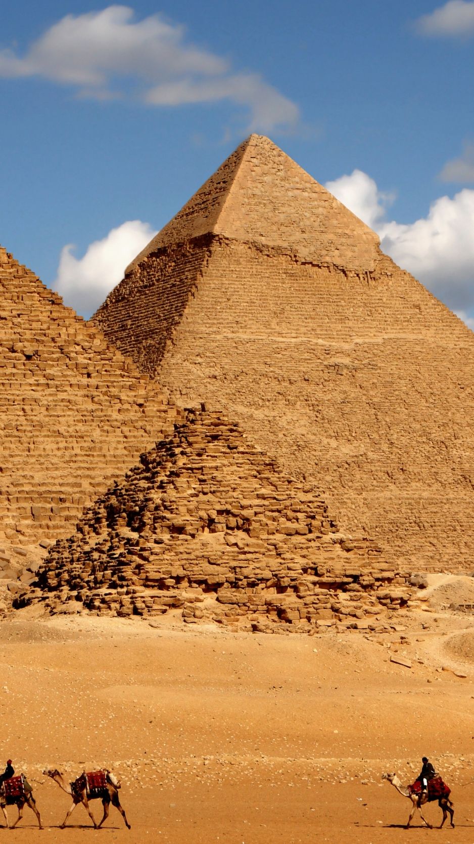 Download Egypt, pyramid, camel, 8k iPhone standard wallpaper