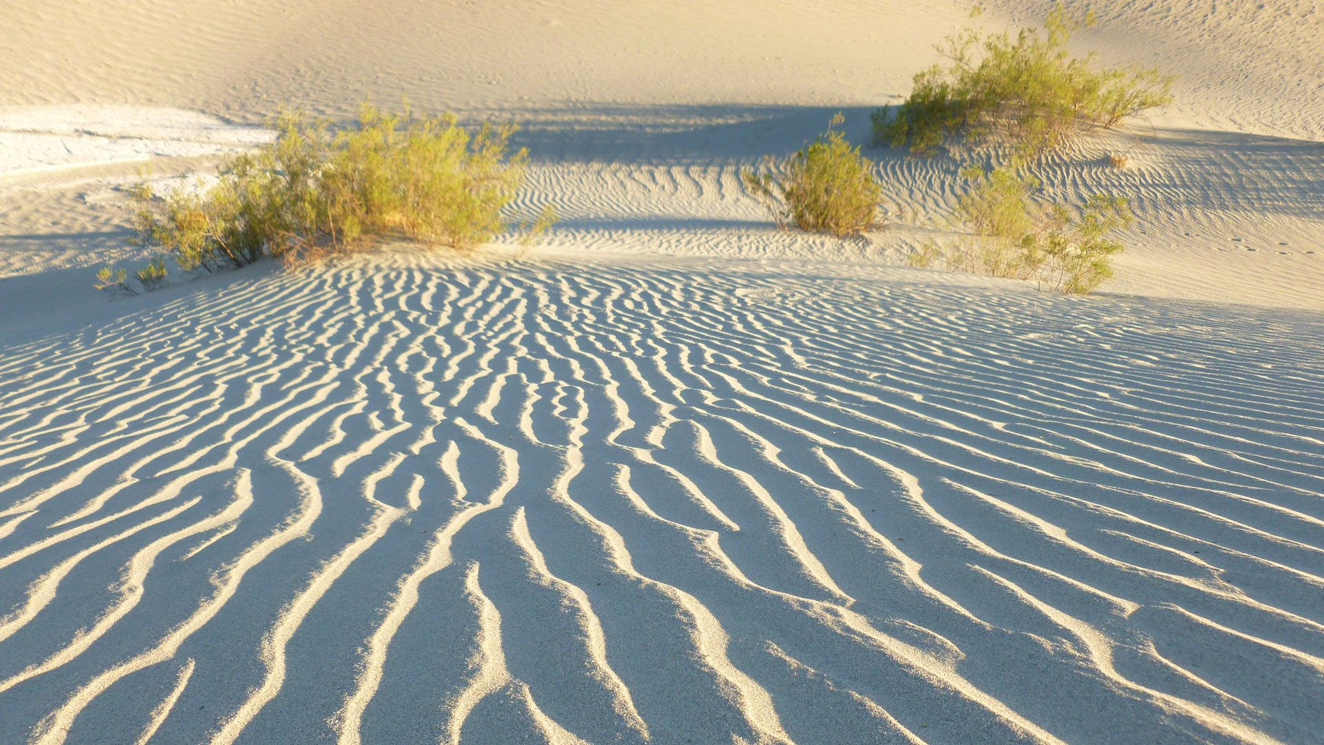 Five Dunes That Will Make You Forget You're in Southern California