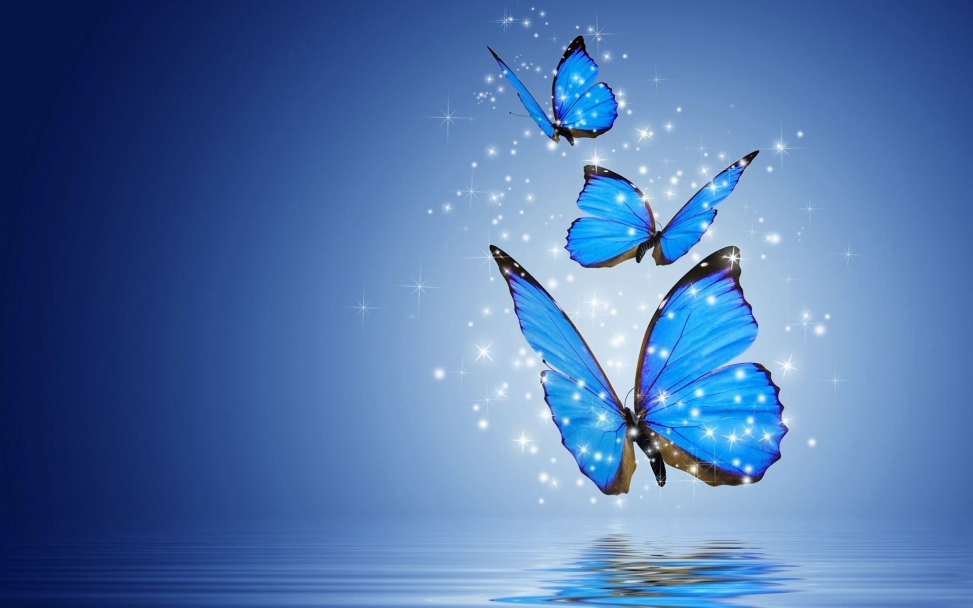 Blue Butterfly Desktop Wallpaper Free Blue Butterfly
