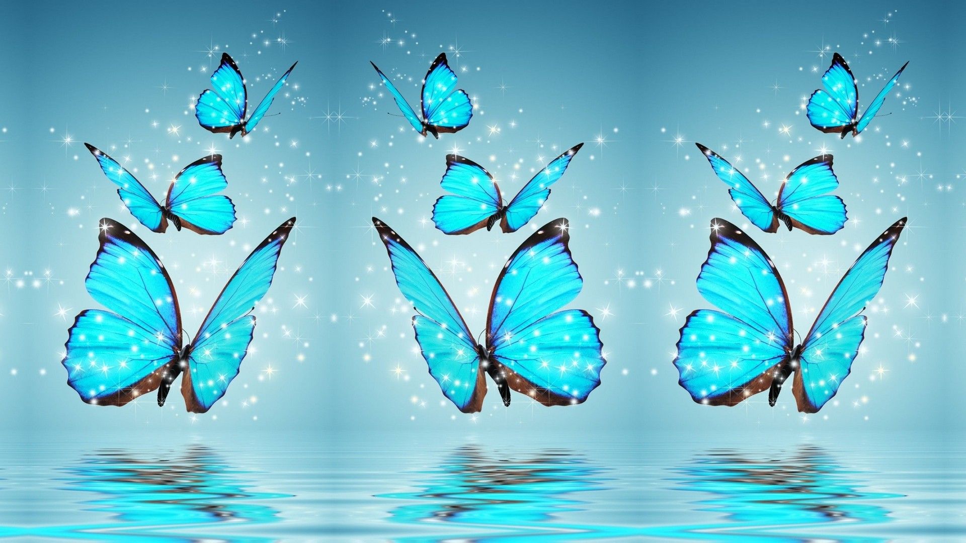 Blue Butterfly Desktop Background HD .wallpapercute.com