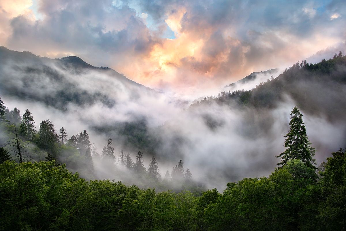 Smoky Mountains National Park Wallpaper