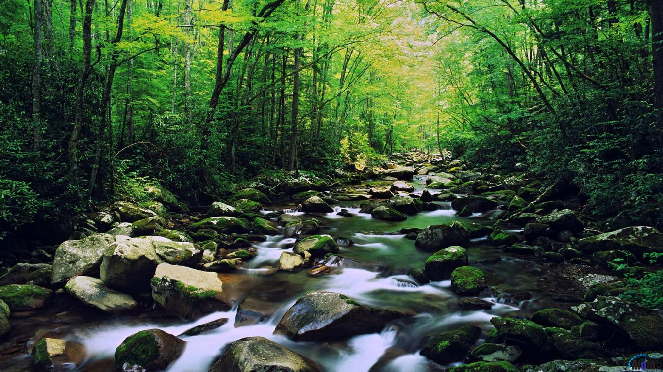 Free download Download Wallpaper Great Smoky Mountains National