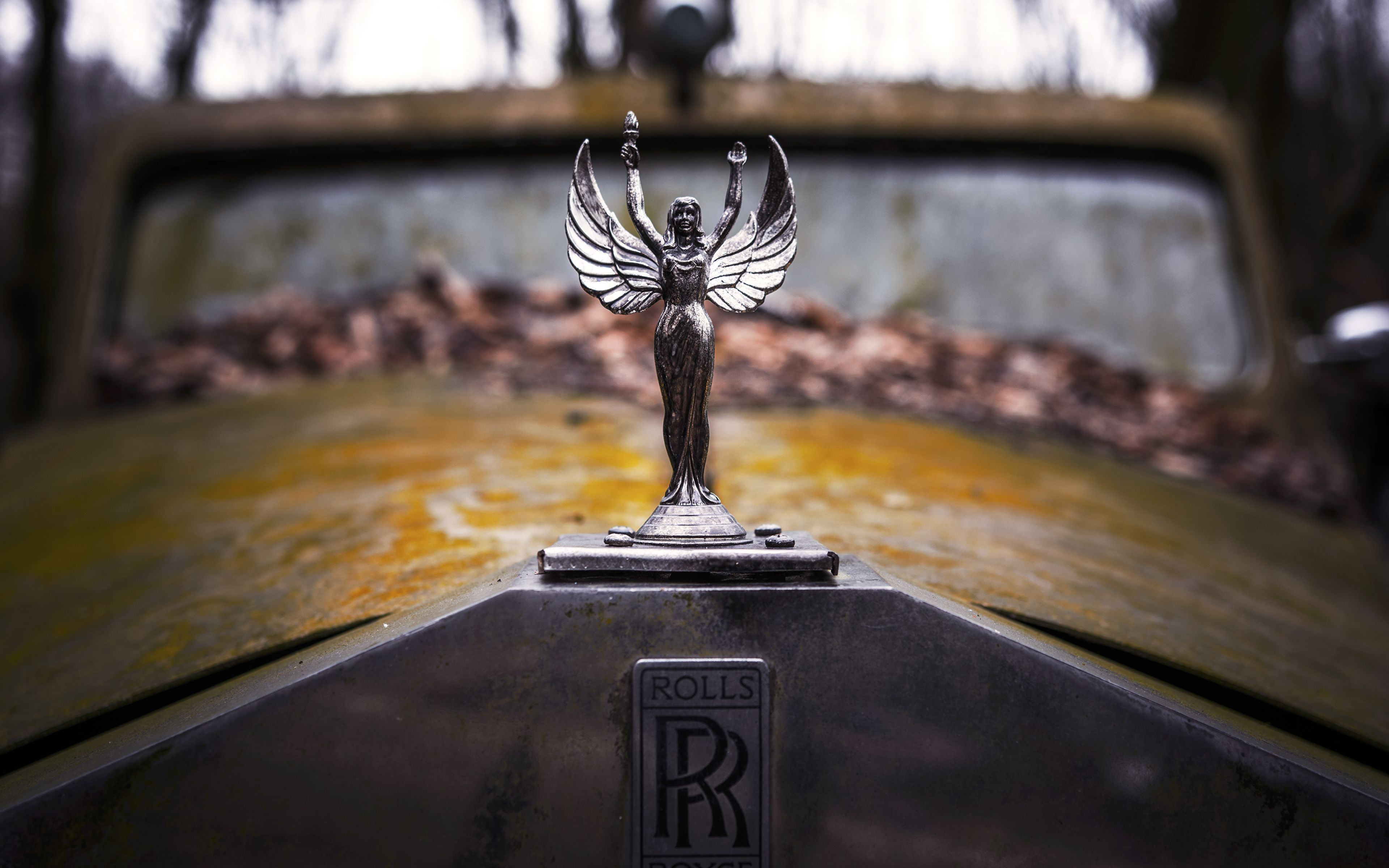 Image Rolls Royce Logo Emblem Vintage Old Cars 3840x2400