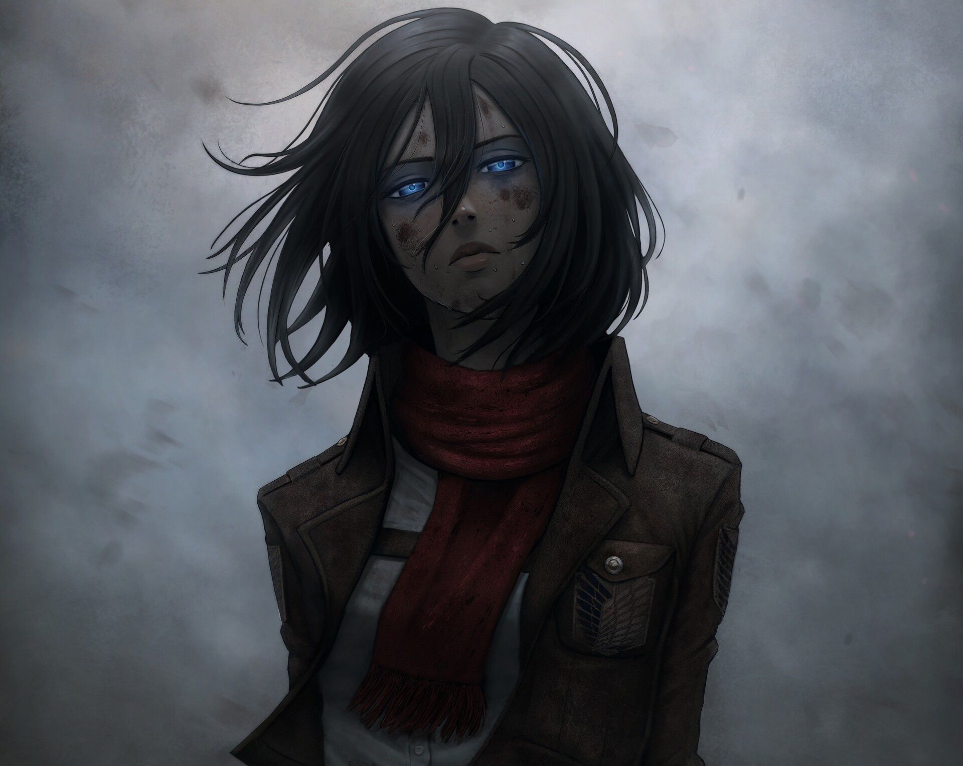 Anime Attack On Titan Mikasa