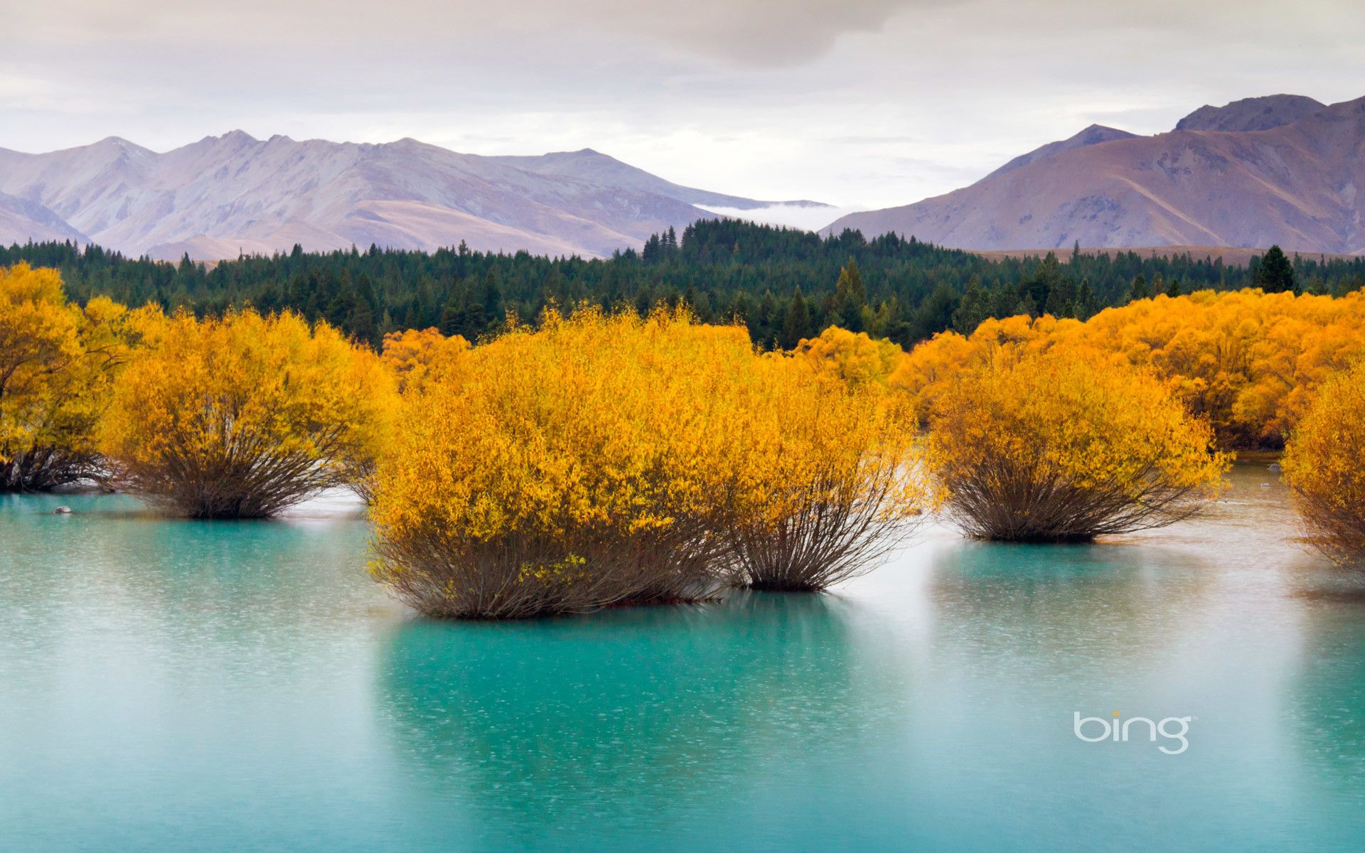 Best Of Bing HD Desktop Wallpapers Wallpaper Cave