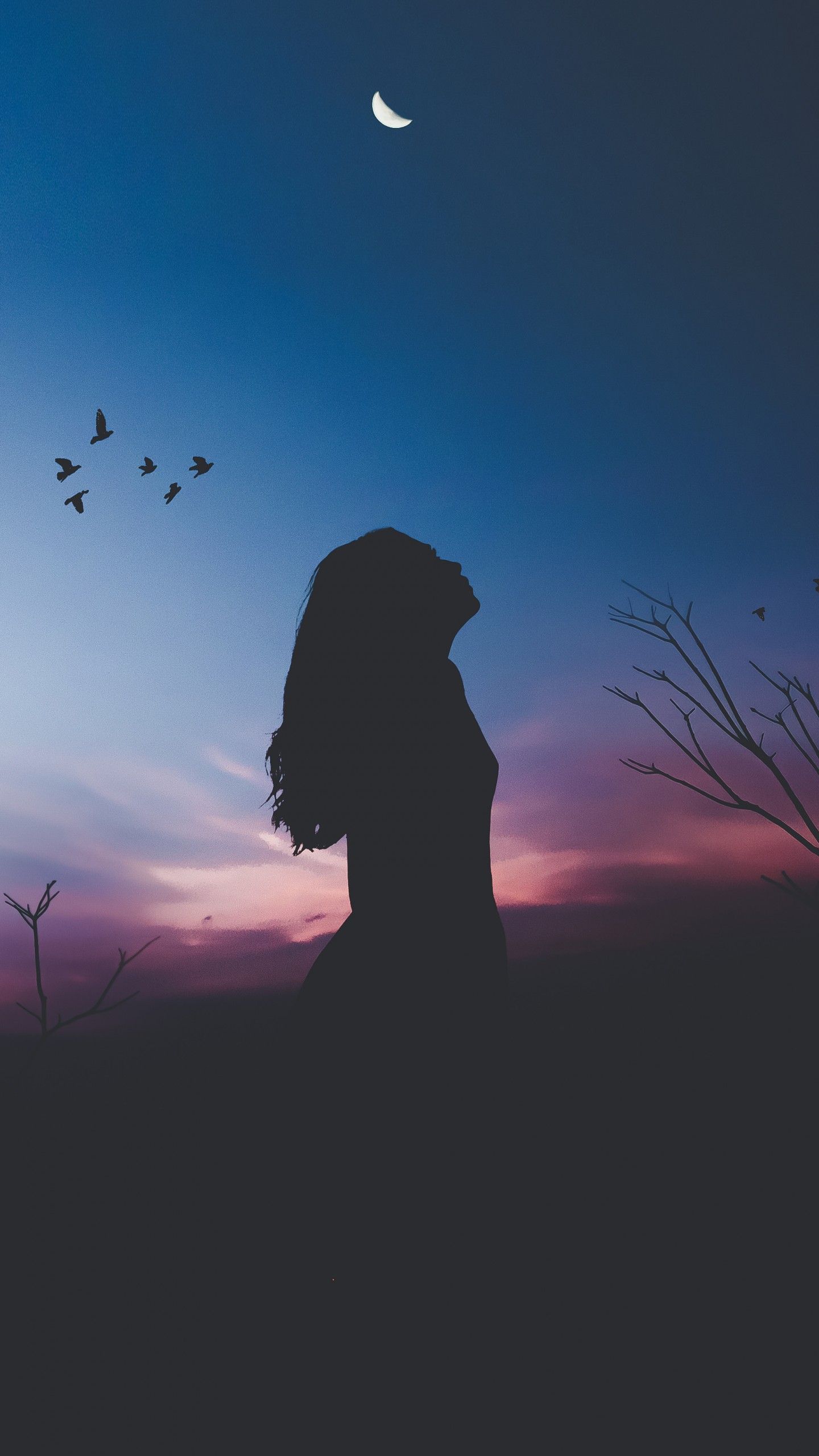 Wallpaper Alone, Woman, Birds, Silhouette, HD, Fantasy,. Wallpaper for iPhone, Android, Mobile and Desktop