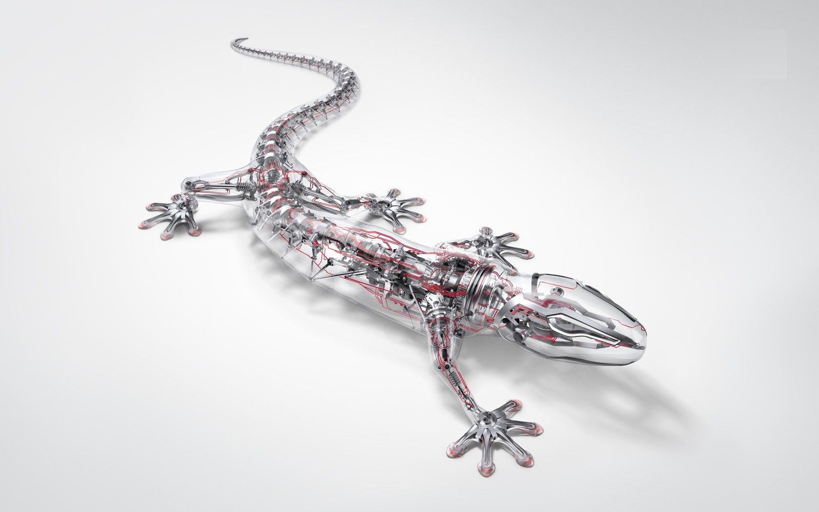 Gecko Tail Wallpaper Gecko, HD Wallpaper & background