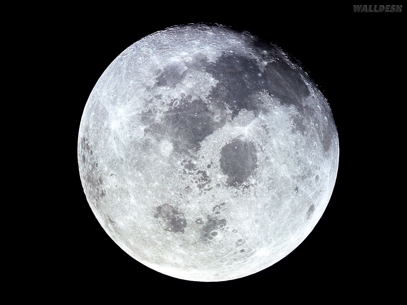 Uma Incrível Lua Wallpaper Neil Armstrong Land On The Moon