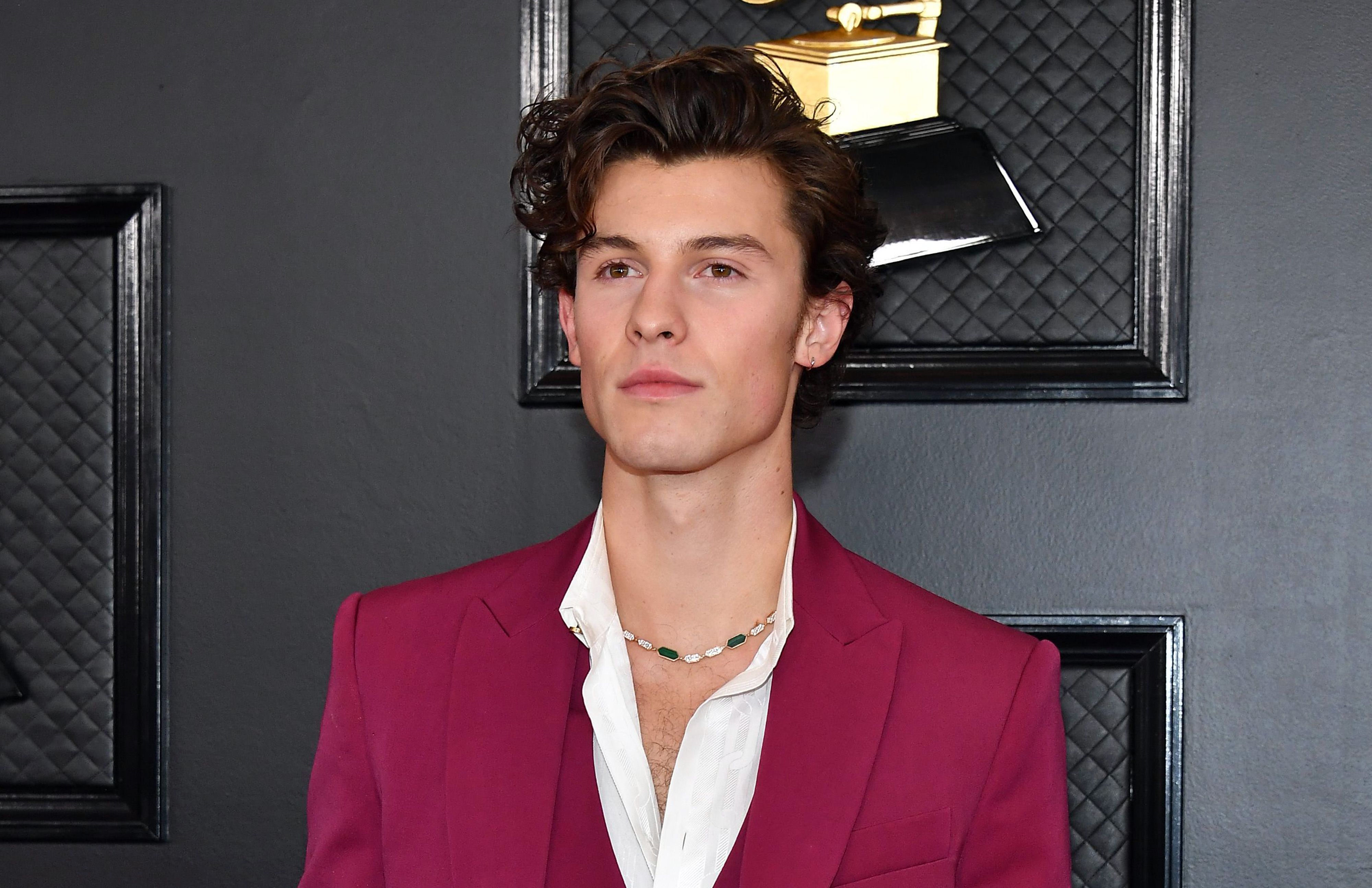 Shawn Mendes Walked the 2020 Grammys Red Carpet Without GF Camila
