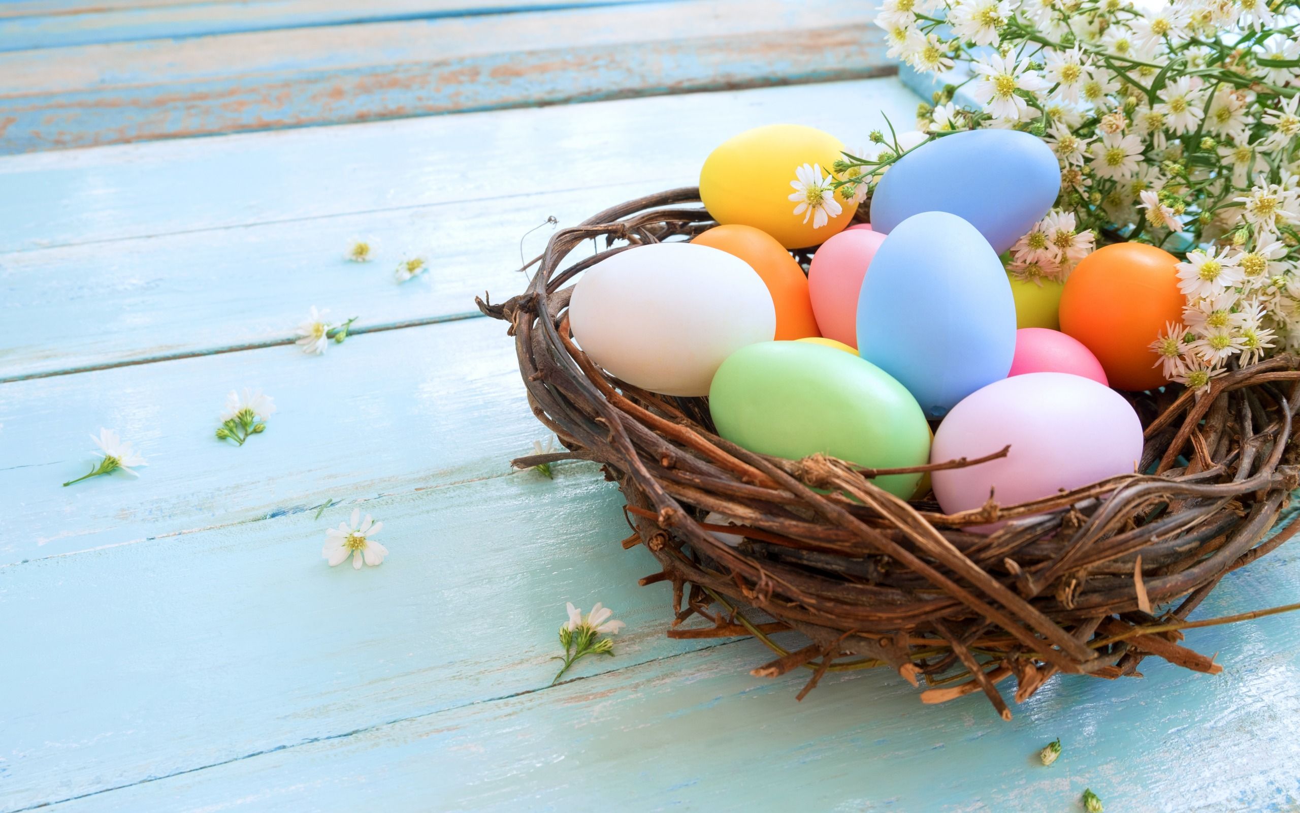 Download wallpaper Easter eggs, spring decoration, Easter, decorated colored eggs, April for desktop with resolution 2560x1600. High Quality HD picture wallpaper