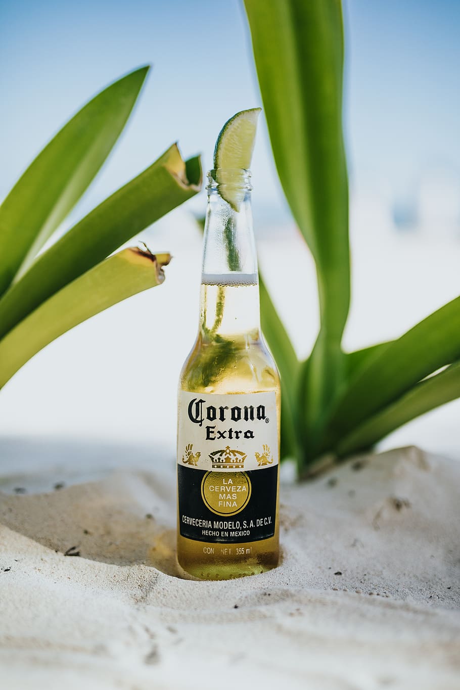 HD wallpaper: Corona beer top with lime, text, western script