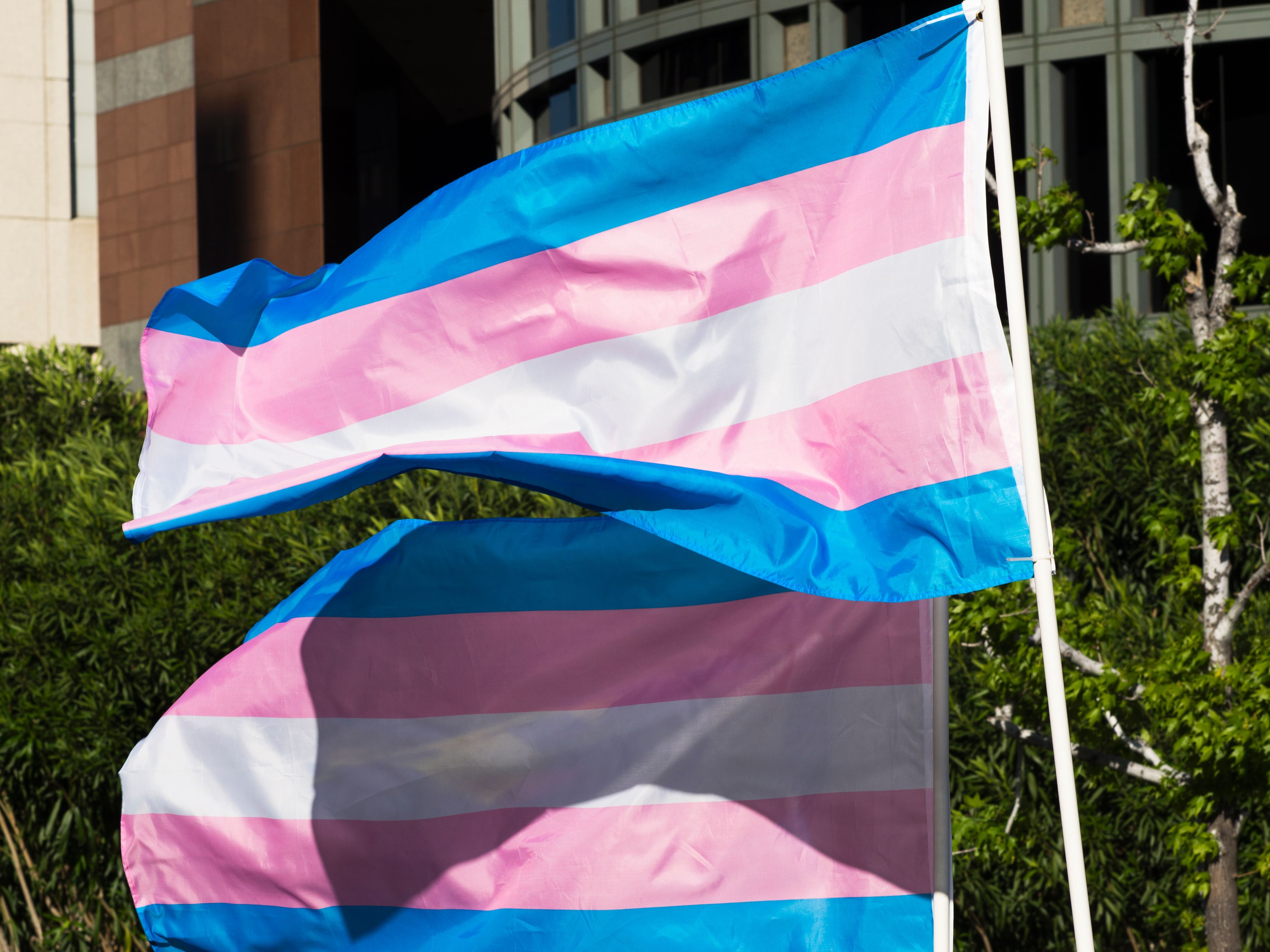 OUTspoken: Transgender Day of Visibility celebrates individuals