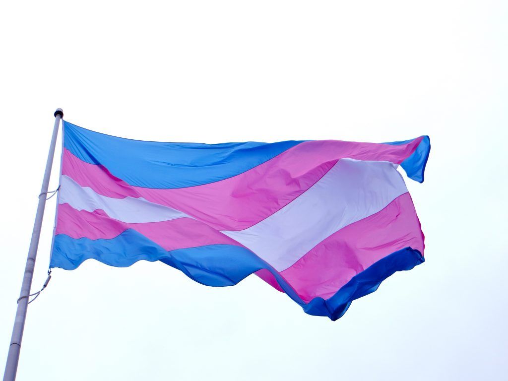 Many Celebrate International Transgender Day of Visibility Online