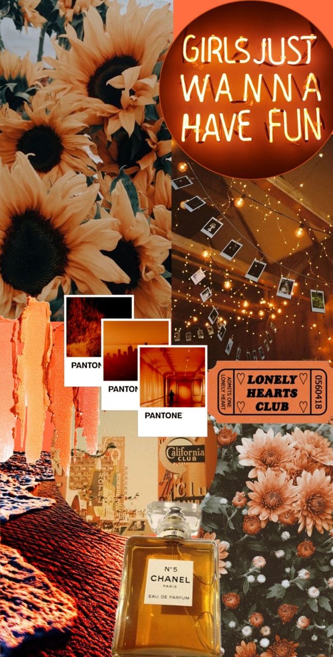 so turns out i'm actually quite good at making aesthetic collage wallpaper