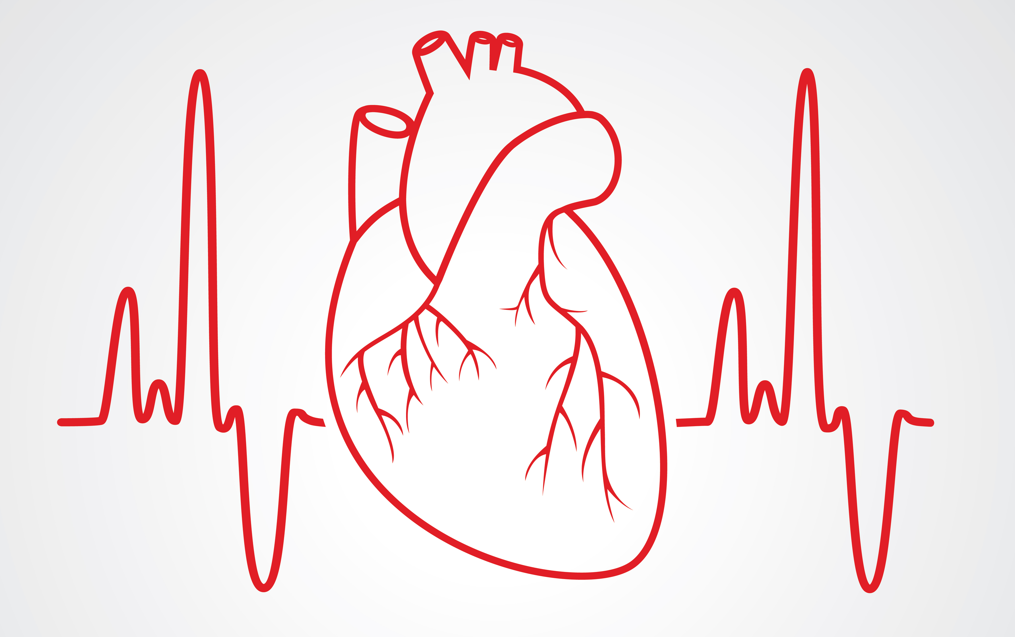 Electrocardiogram png 7 PNG Image