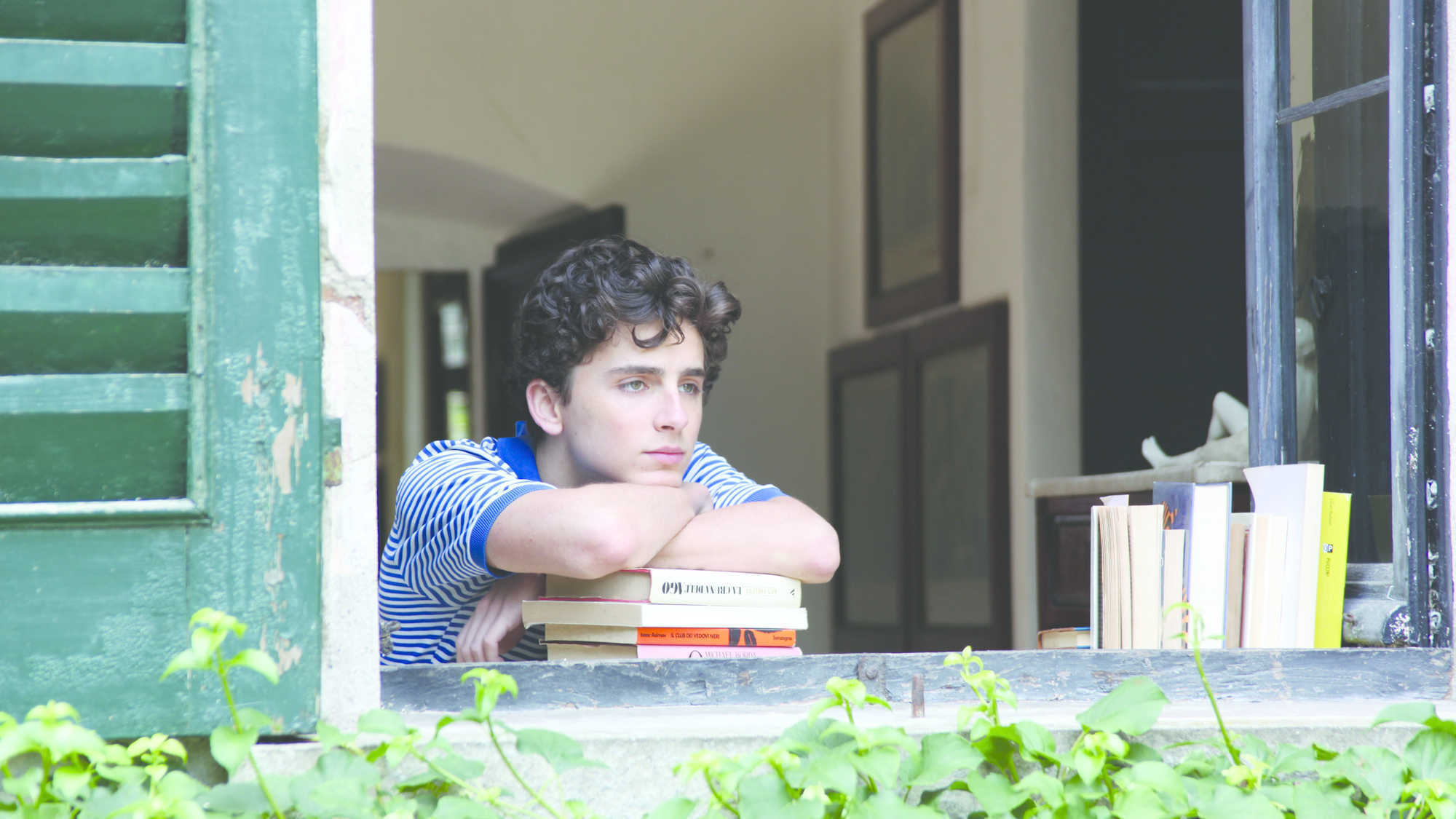Call Me by Your Name Wallpaper Free Call Me