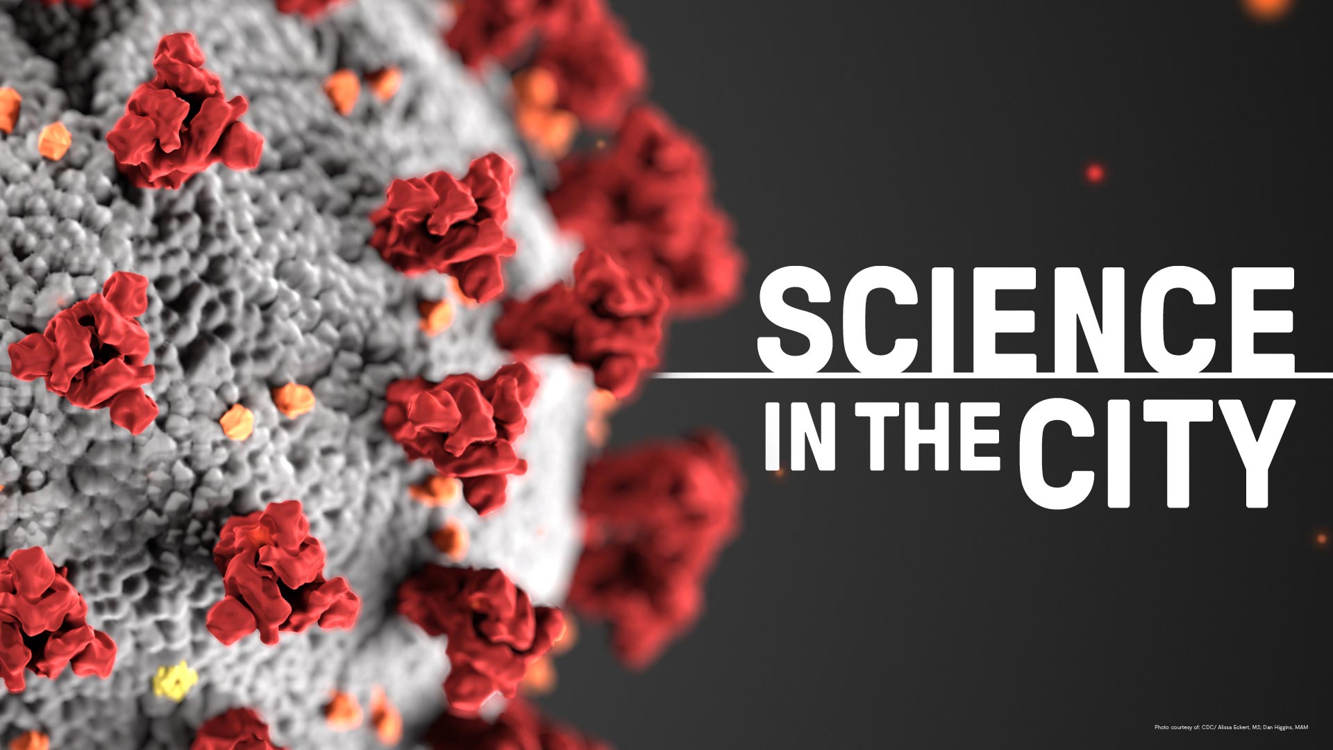 COVID 19 Livestream: Connect With The Experts. Pacific Science Center