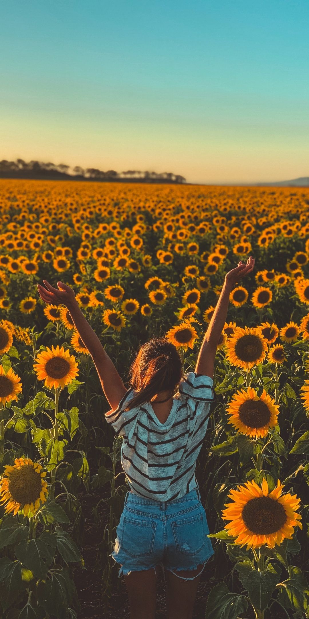 Sunny day, sunflowers, farm, woman, 1080x2160 wallpapers