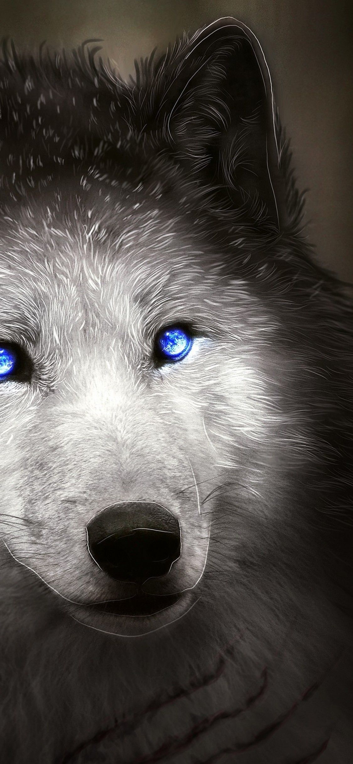 Download 1125x2436 Wolf, Blue Eyes, Majestic, Digital Art