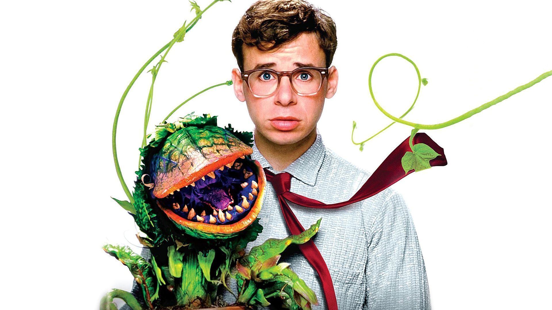 Little Shop Of Horrors Wallpaper maybe Amy's right and I do go