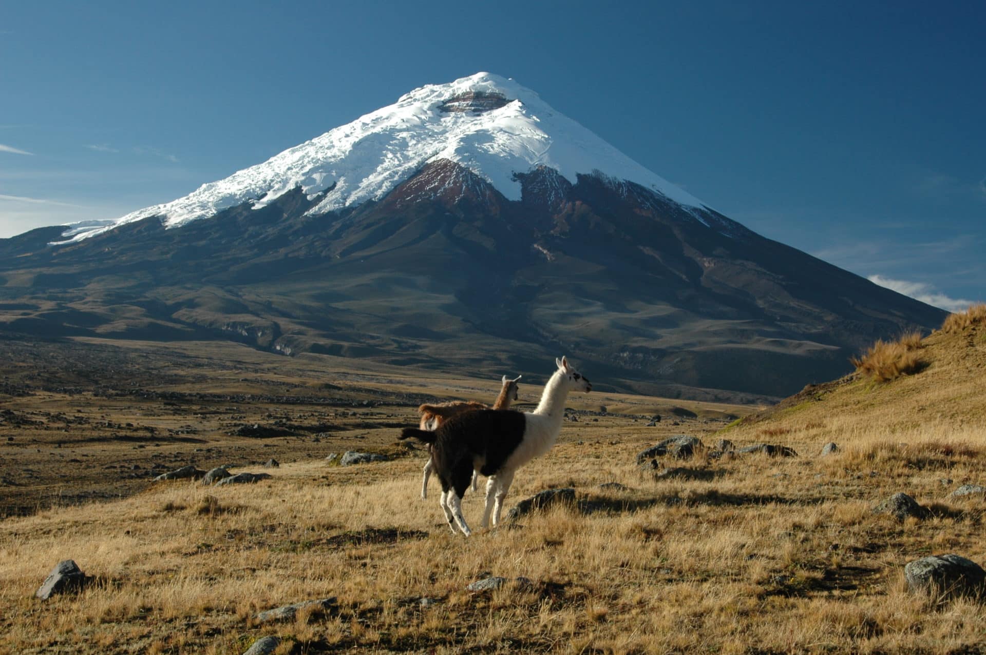 Two Day Mountaineering Tour To Cotopaxi Volcano. 2 Day Trip