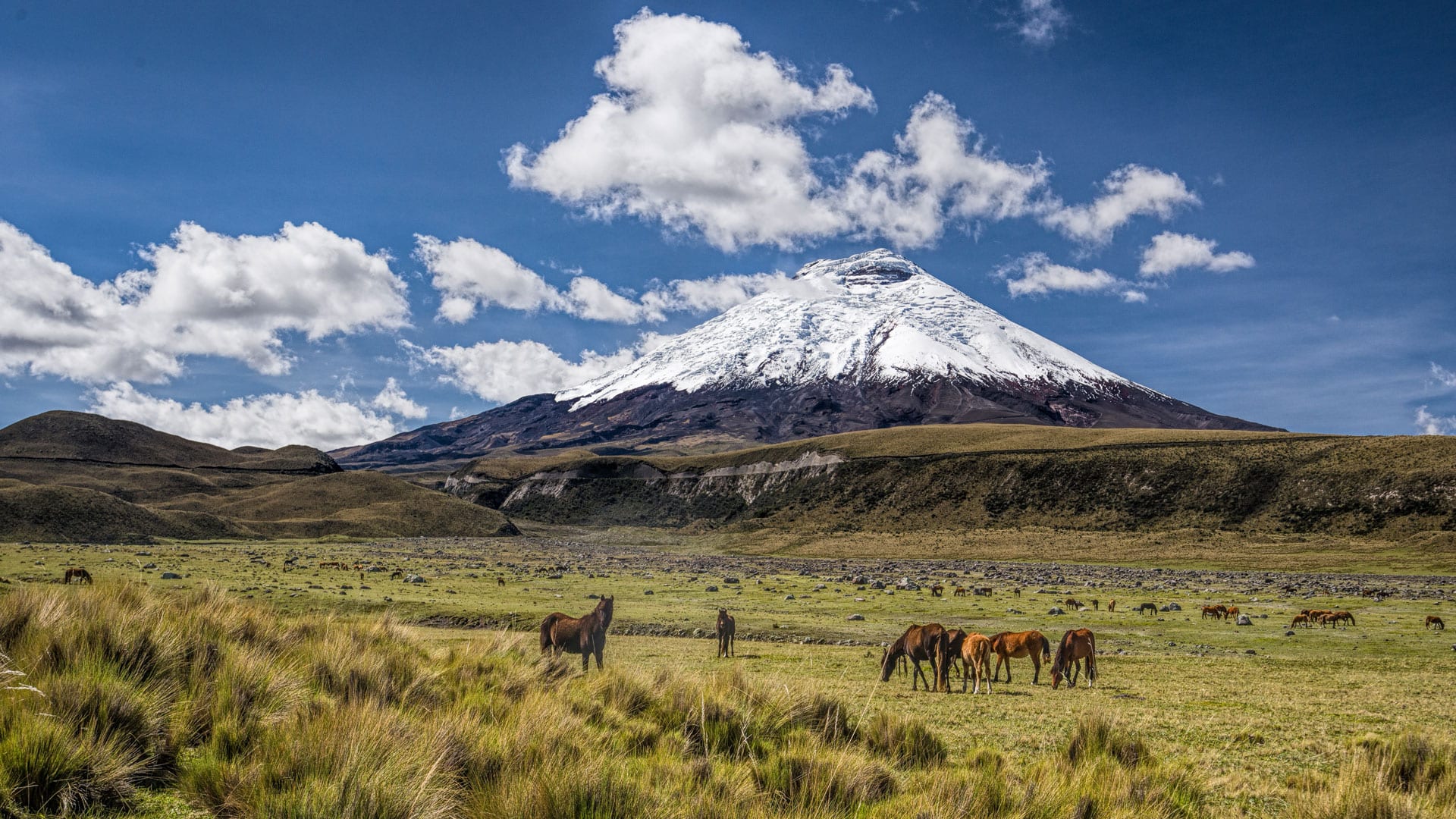 Cotopaxi National Park Visit. One of the Highest Active Volcanoes